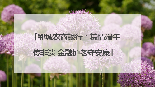 郓城农商银行：粽情端午传非遗 金融护老守安康